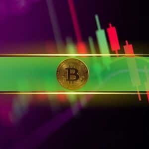 Meme Coins on Fire as Bitcoin Price Flirts With $116K: Weekend Watch