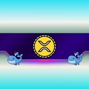 30,000,000 XRP Bought by Whales in 24H: What Do They Know?