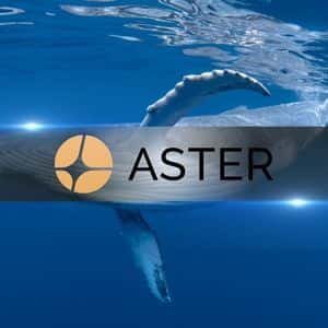Whales Scoop Up Over $48M in ASTER Within 24 Hours