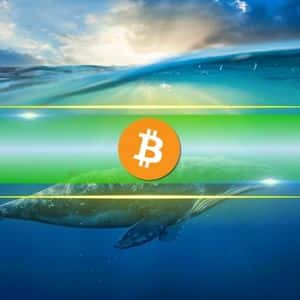 Dormant for 12 Years, Early Bitcoin Wallet Transfers 400 BTC Worth $44 Million