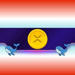 Major Ripple (XRP) Price Warning: Big Whale Exodus Sparks New Crash Fears
