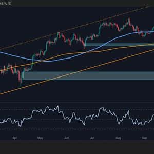 Bitcoin Price Analysis: First Bearish Signs Appear as BTC Falls by $20K From ATH