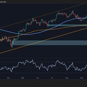 Bitcoin Price Analysis: First Bearish Signs Appear as BTC Falls by $20K From ATH