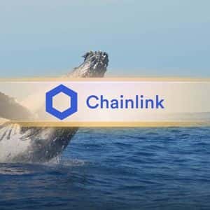 Chainlink Heats Up: 53 Million LINK Scooped Up in Big Accumulation Spree
