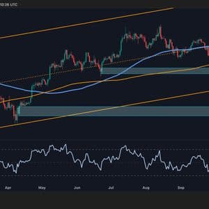 Bitcoin Price Analysis: Uncertainty Remains as BTC Hangs at Important Support Levels