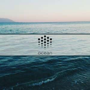 Rug Pull or Misunderstanding? FET Community in Uproar Over Ocean Protocol Transfers