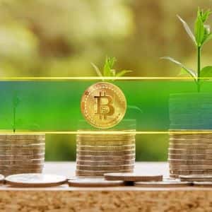 Bitcoin Accumulation Patterns Show Late-Stage Cycle Maturity, Not Definite End: CryptoQuant