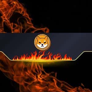 Shiba Inu Burn Rate Explodes by 88,000%: SHIB Price Surge to Follow?