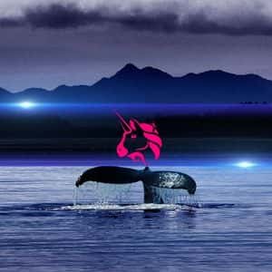 Binance Whales Are Quietly Buying Up Uniswap’s UNI Token Amidst Market Weakness