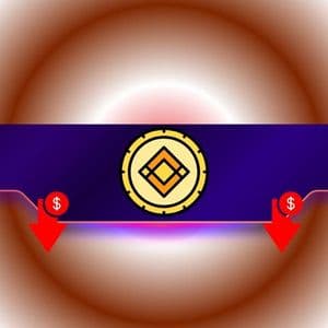 These Altcoins Crash by Double Digits Following Delisting From Binance: Details