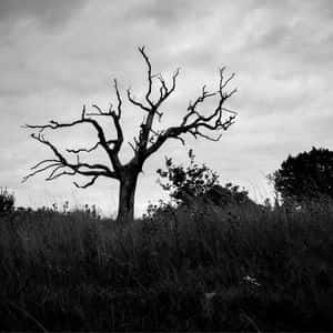 Are Altcoins Rekt Forever? Only 29% of Top Projects Have Outperformed BTC This Year