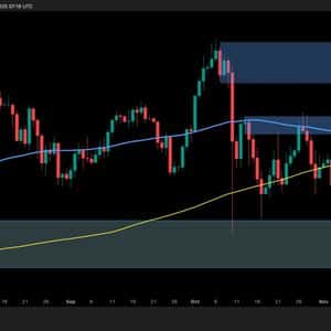 Bitcoin Price Analysis: Bearish Signs Emerge as BTC Breaks Below Crucial Support