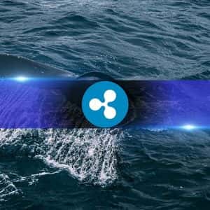 XRP Price Stalls Despite Bullish Fundamentals as Whales Keep Selling