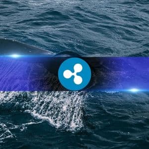 XRP Price Stalls Despite Bullish Fundamentals as Whales Keep Selling