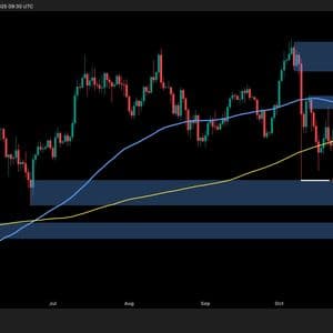 Bitcoin Price Analysis: What Are BTC’s Next Key Support Levels if $100K Falls?