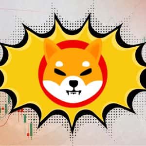 Shiba Inu coin price prediction 2025-2031: Will SHIB skyrocket soon?