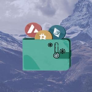 8 best cold wallet for crypto in 2025 (Tried and tested)