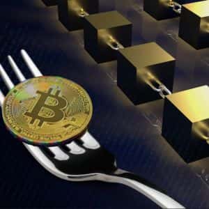 What is a Fork in Crypto?