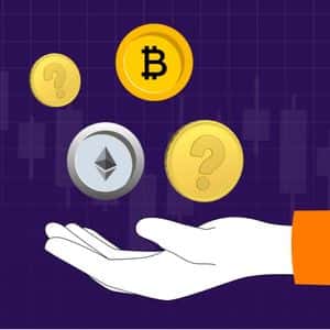 Complete Newbie Manual For 2025 Altseason – Top Altcoins That Could Make You Rich