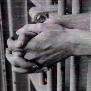 Cred founders jailed over $140M fraud, receive 88-month sentences