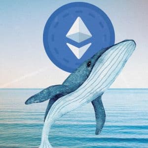 Ethereum wallets accumulate 296,000K ETH as price tests $4,000 level