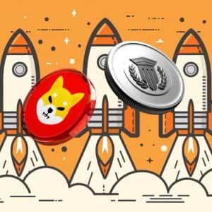 Top Crypto to Buy for the Upcoming Bull Run: Shiba Inu (SHIB) vs Mutuum Finance (MUTM)