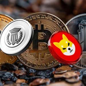 How Mutuum Finance (MUTM) Compares to Early Shiba Inu (SHIB)