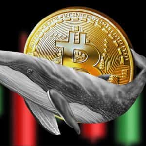 Bitcoin whales slam brakes on sales as 'Uptober' rally leads to new all-time high