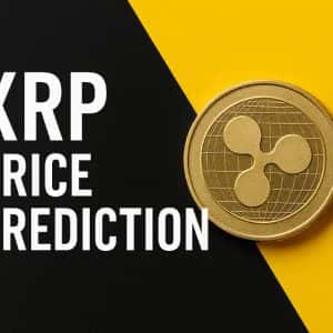 XRP Price Prediction: You May Have Just Come Across The Next 100x Crypto Here