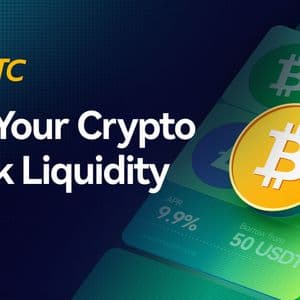 ViaBTC Collateral-pledged Loan: A Preferred Strategy for Miners’ Cash Flow