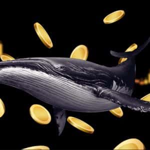 Whales dump $120 million in Solana, Aave and Aster as crypto market slides