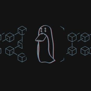 Crypto investigator lists Nigeria, India, Canada, UK, and Russia as worst jurisdictions for victims