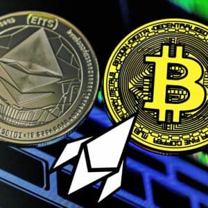 Shiba Inu (SHIB) Whales Diversify With MUTM at $0.035 Emerging as Best Cryptocurrency To Invest In