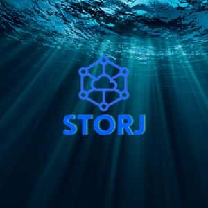 Storj price prediction 2025-2031: Can STORJ retake previous highs?