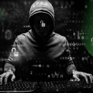 Decentralized Exchange BunniXYZ Loses $8.4M in Liquidity Exploit