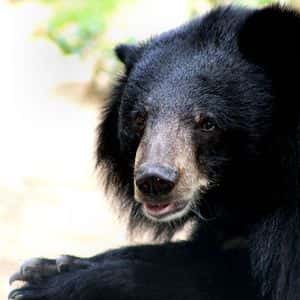 Crypto Markets Today: Bitcoin Price Remains Under Pressure