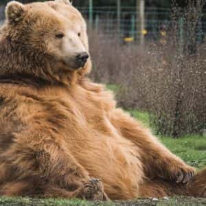 Bitcoin Options Tilt Bearish Ahead of Friday's Expiry: Crypto Daybook Americas