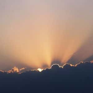 Crypto Markets Today: IP Token Surges on Corporate Treasury Adoption