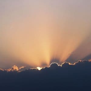 Crypto Markets Today: IP Token Surges on Corporate Treasury Adoption