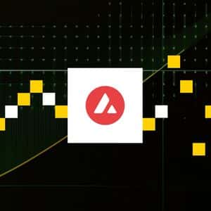 Avalanche Foundation Eyes $1B Raise to Fund Two Crypto Treasury Companies: FT
