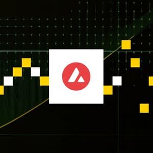 Avalanche Foundation Eyes $1B Raise to Fund Two Crypto Treasury Companies: FT