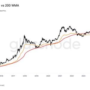 Bitcoin's Key Trends Suggest Price Still Has Plenty of Room to Run