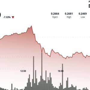 Dogecoin Plunges 8% Before Whale Buying Stabilizes at DOGE Prices $0.25