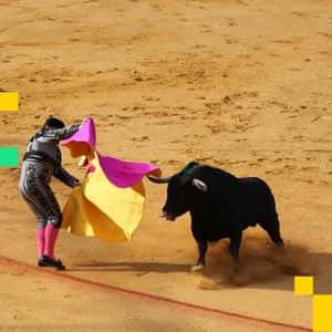 Crypto Markets Today: Bitcoin Surges Past $115K as Markets Eye Fed Rate Cut