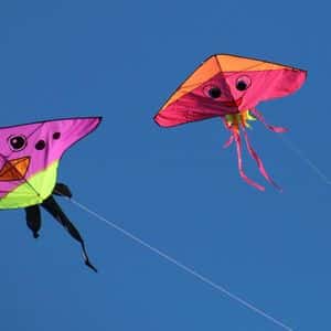 AI Payments Startup Kite Debuts Token With $263M Trading Volume in First Two Hours