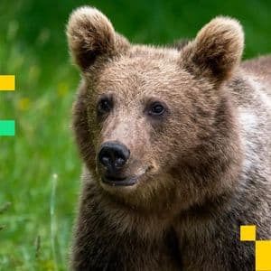 BTC Market Now 'Extremely Bearish,' Says QCP: Asia Morning Briefing