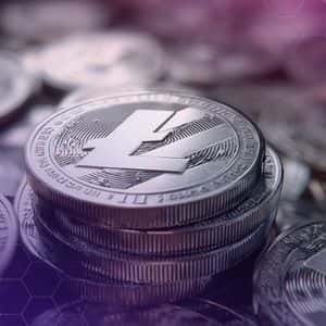 Canadian Crypto Firm Luxxfolio Eyes $73M Raise After Pivot to Litecoin
