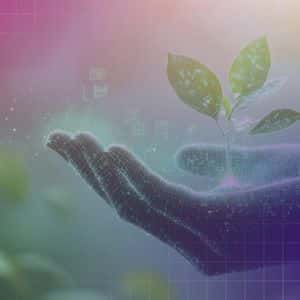 Meanwhile Raises $82M to Scale Bitcoin-Based Life Insurance and Retirement Products