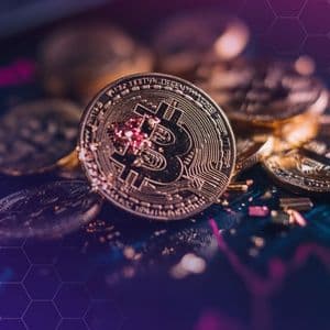 Crypto Treasuries Take a Hit as Month-Long Market Slump Erodes Balance Sheets