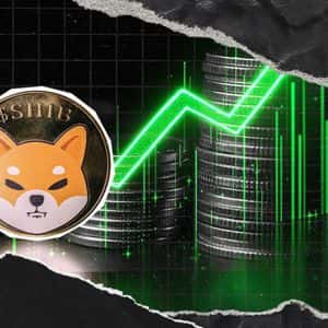 +20,000,000,000 Shiba Inu (SHIB) in 24 Hours: Massive Exchange Spike